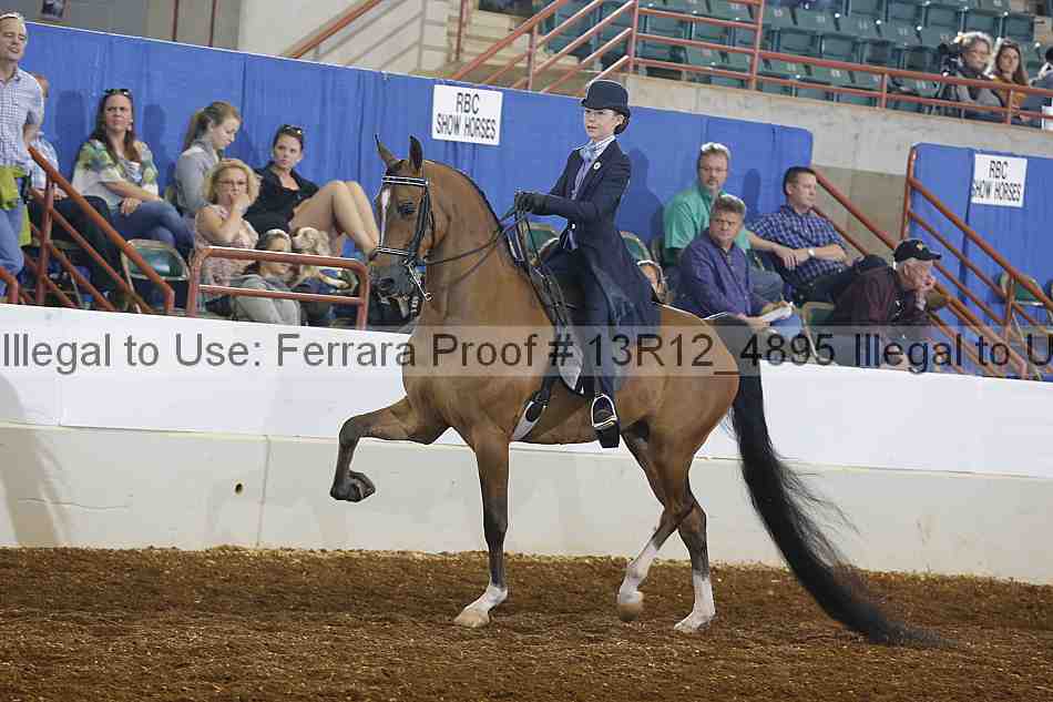 Proof 13r12_4895