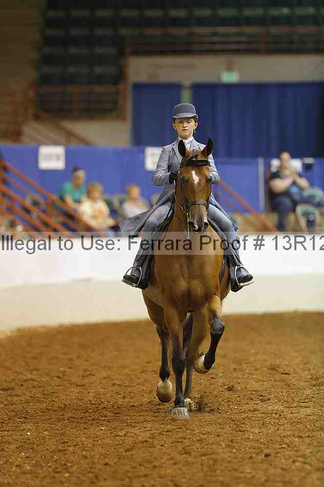 Proof 13r12_4898