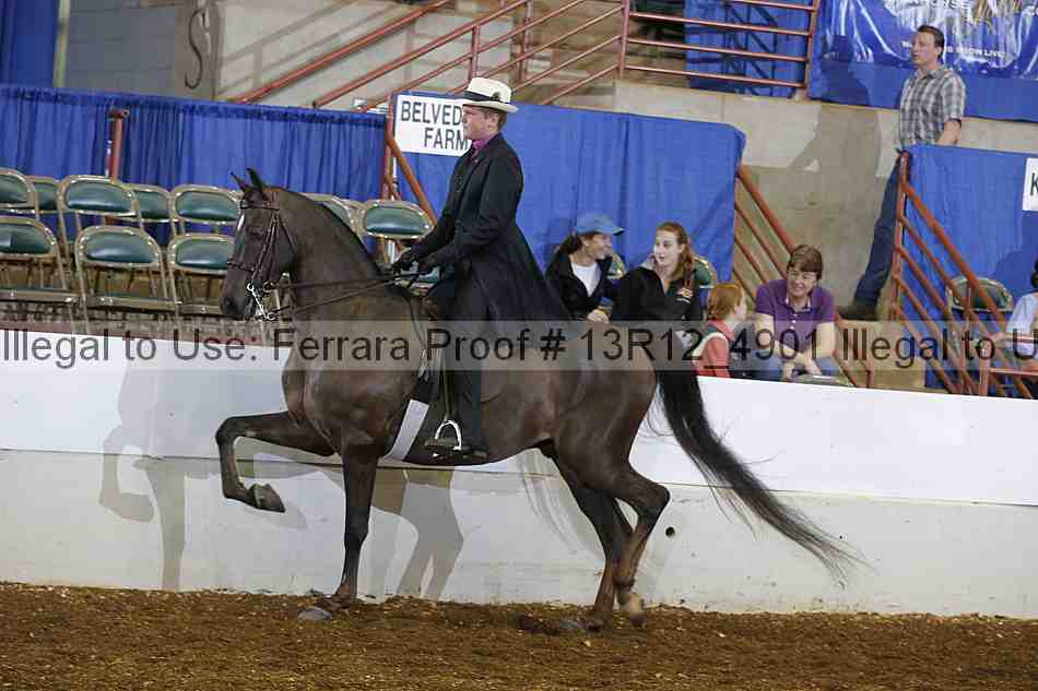 Proof 13r12_4901