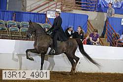 13r12_4901 proof
