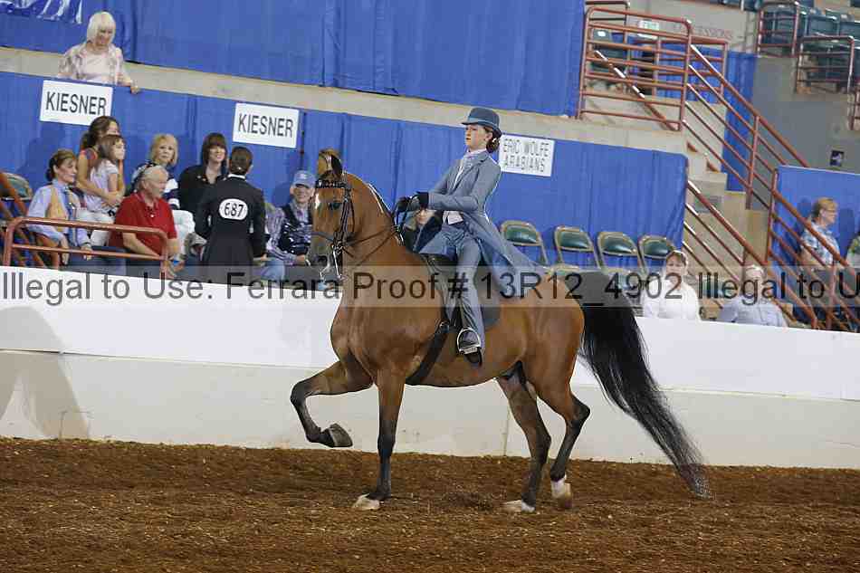 Proof 13r12_4902