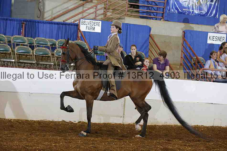Proof 13r12_4903