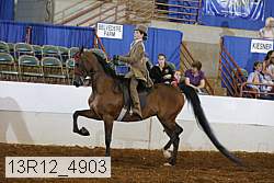 13r12_4903 proof