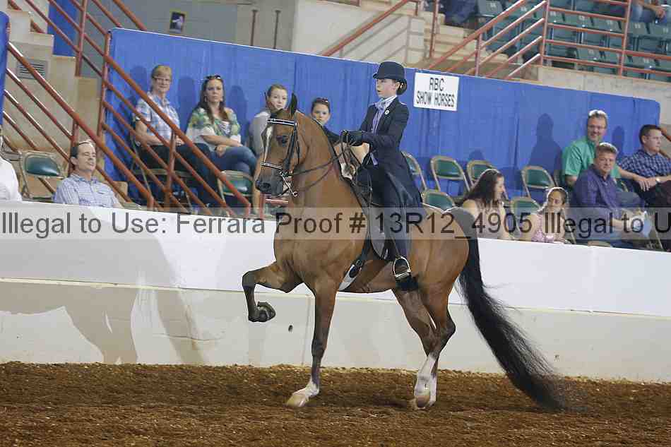 Proof 13r12_4905