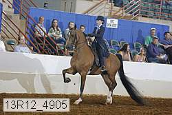 13r12_4905 proof