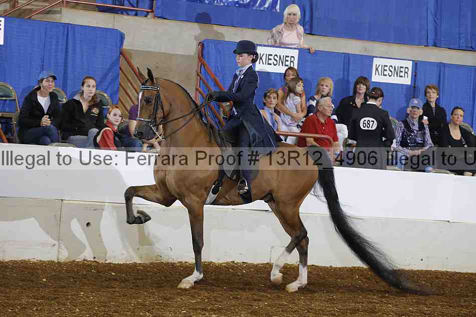 Proof 13r12_4906