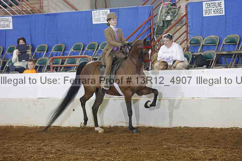 Proof 13r12_4907