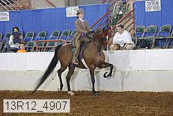 13r12_4907 proof