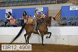 13r12_4908 proof