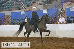 13r12_4909 proof