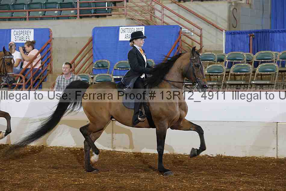 Proof 13r12_4911