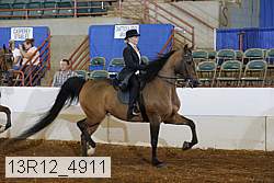 13r12_4911 proof