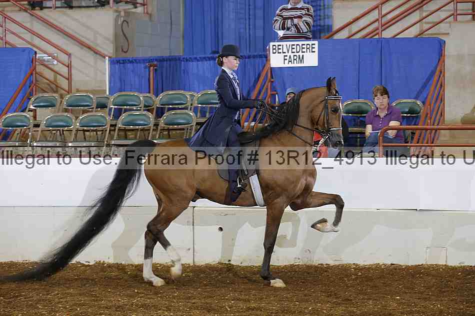 Proof 13r12_4913
