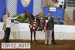 13r12_4917 proof