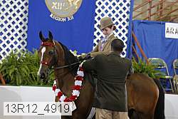 13r12_4919 proof