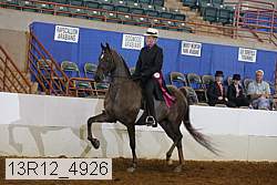 13r12_4926 proof