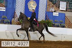 13r12_4927 proof
