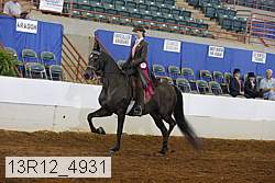 13r12_4931 proof