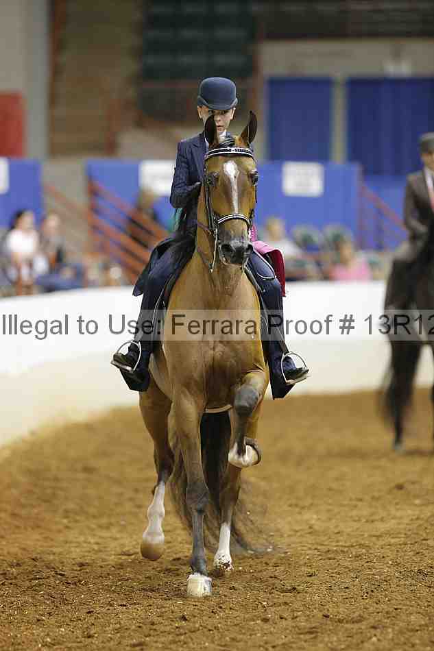 Proof 13r12_4933