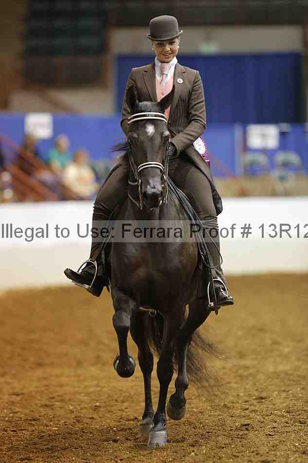 Proof 13r12_4934