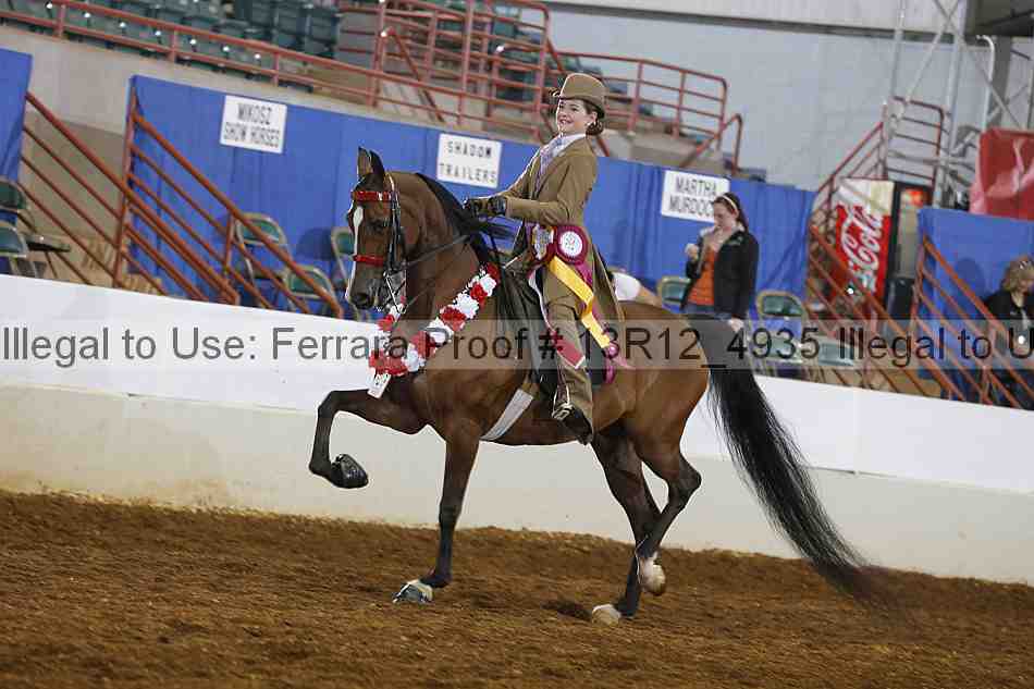 Proof 13r12_4935