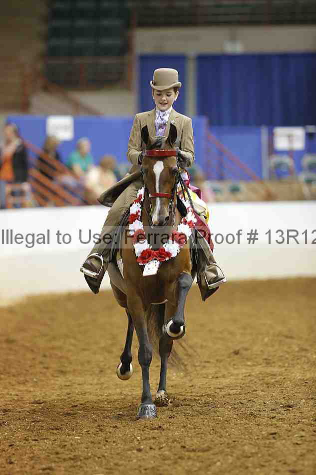 Proof 13r12_4938