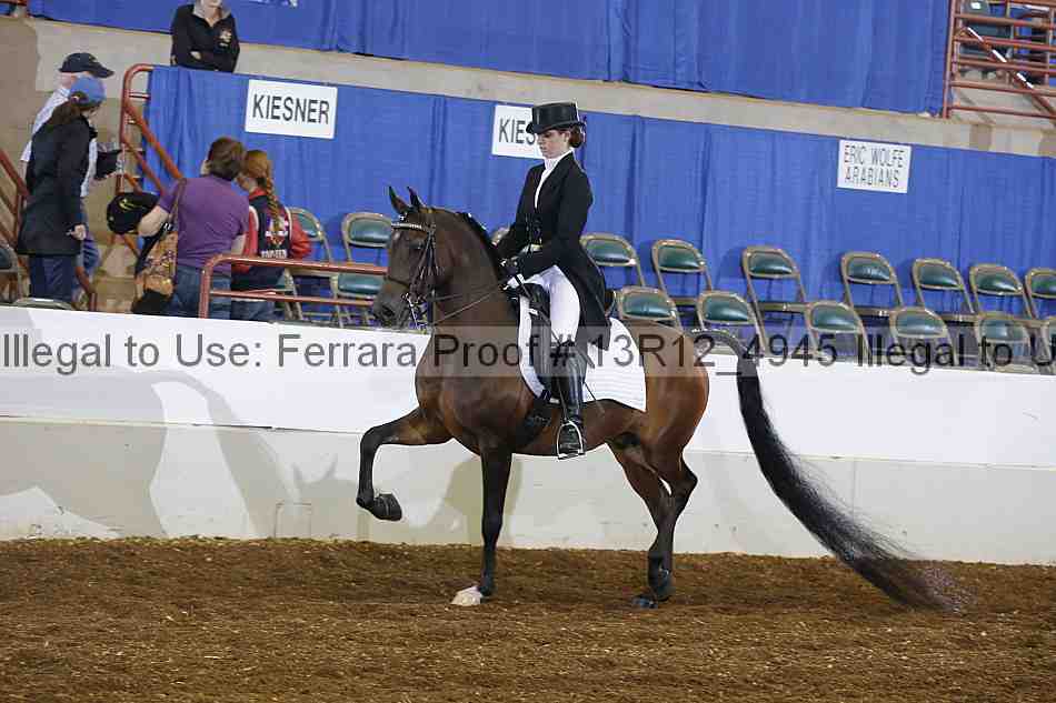 Proof 13r12_4945