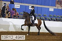 13r12_4945 proof