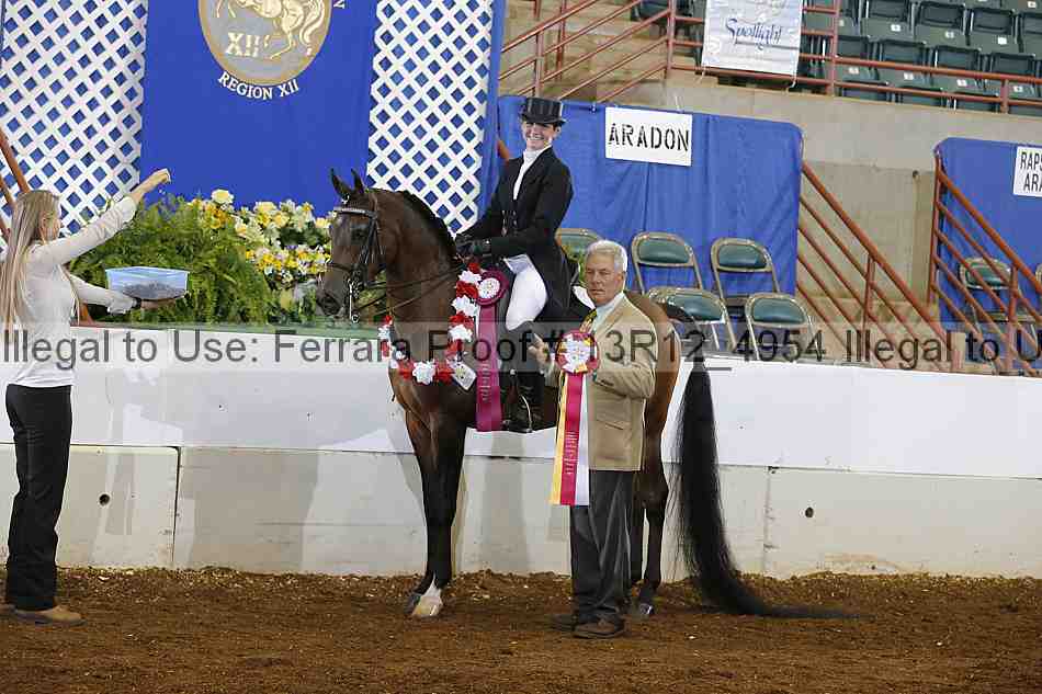 Proof 13r12_4954