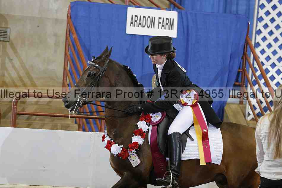 Proof 13r12_4955