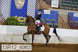13r12_4963 proof