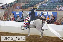 13r12_4972 proof