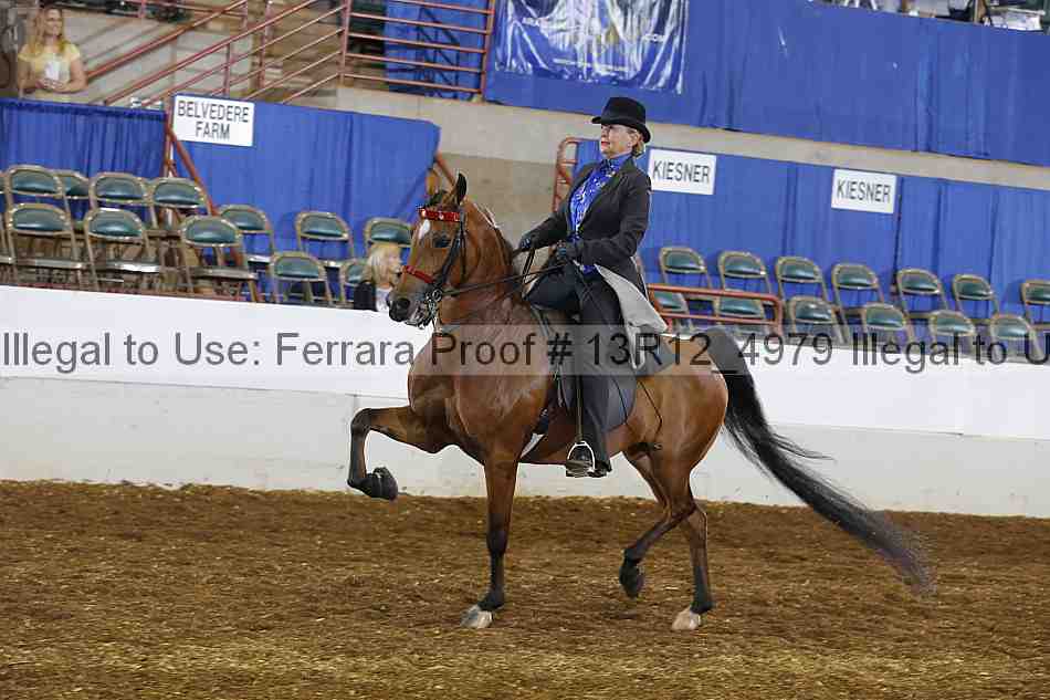 Proof 13r12_4979