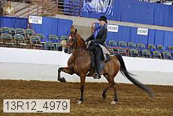 13r12_4979 proof