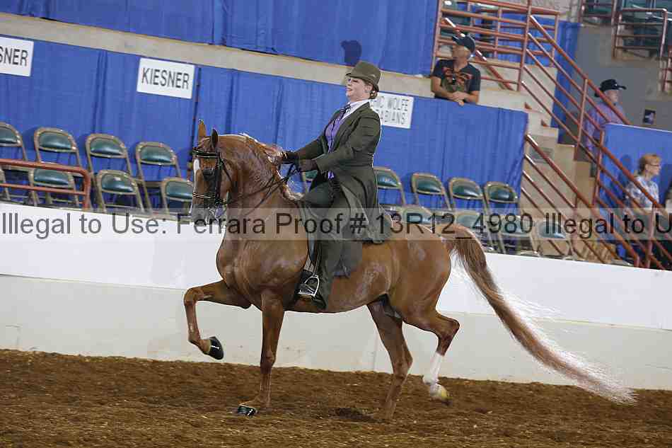 Proof 13r12_4980