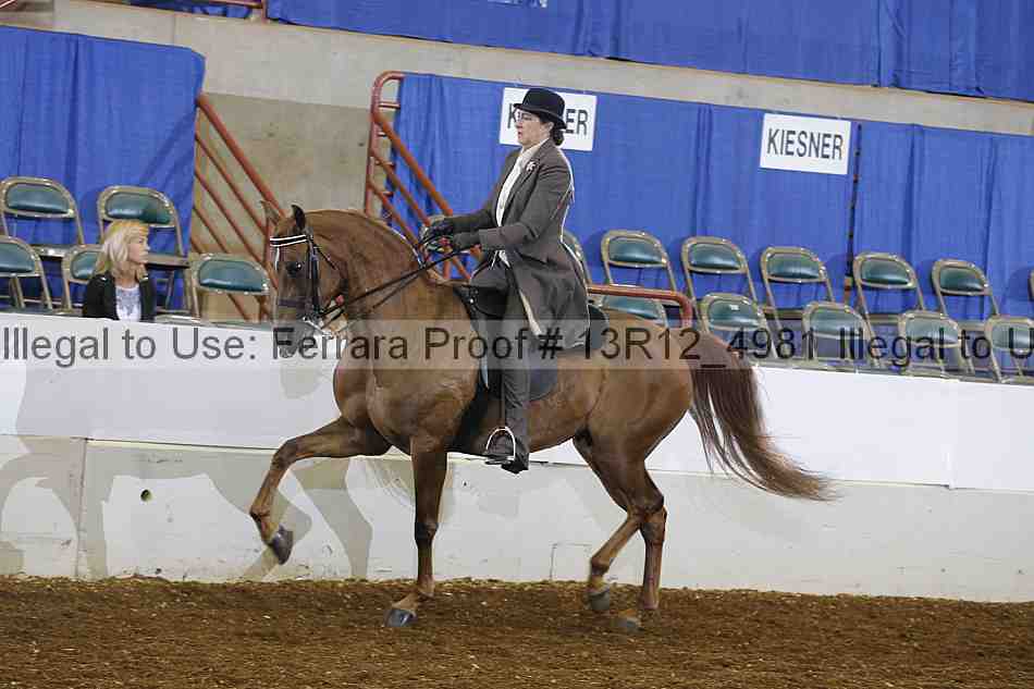 Proof 13r12_4981