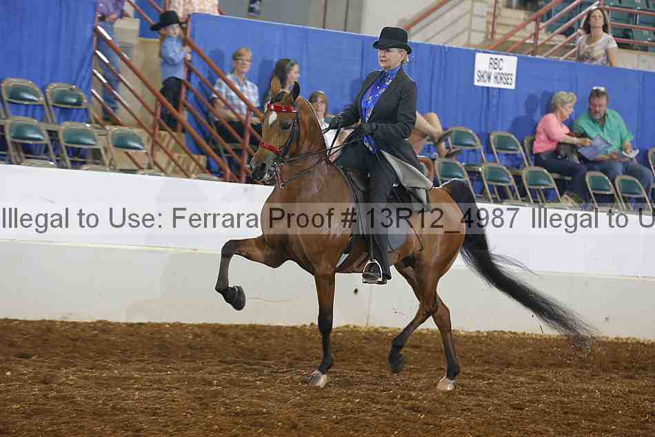 Proof 13r12_4987