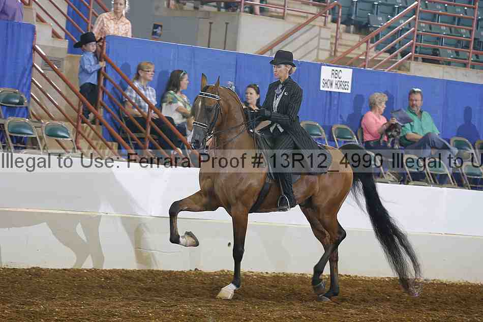 Proof 13r12_4990