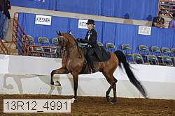 13r12_4991 proof