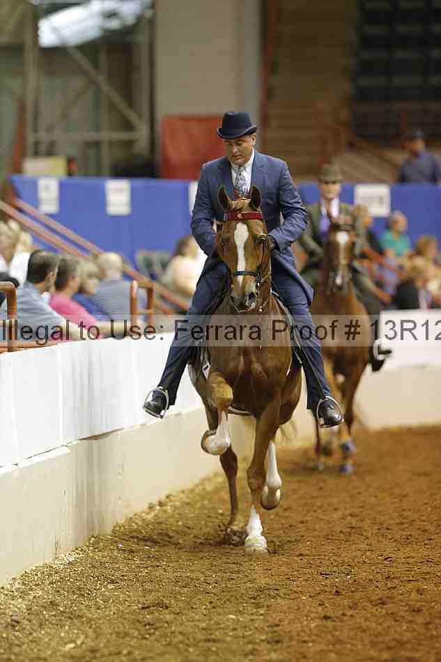 Proof 13r12_4994