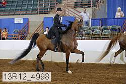 13r12_4998 proof