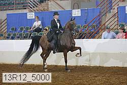 13r12_5000 proof