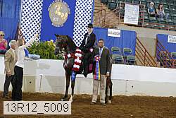 13r12_5009 proof