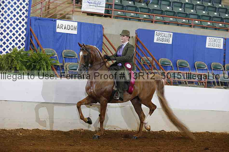 Proof 13r12_5015