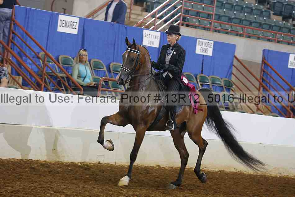 Proof 13r12_5016