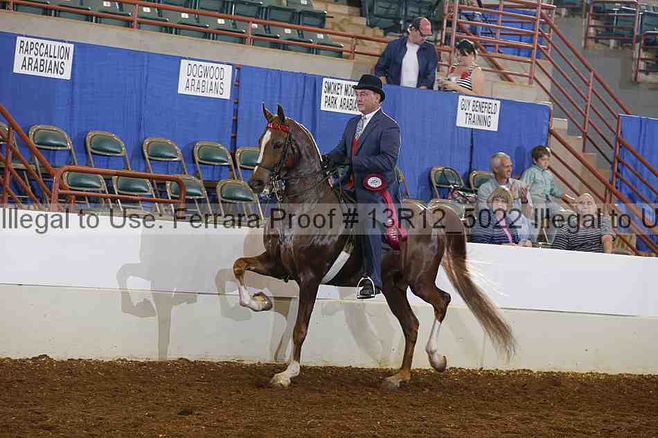 Proof 13r12_5022