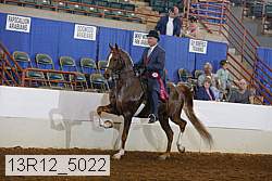 13r12_5022 proof