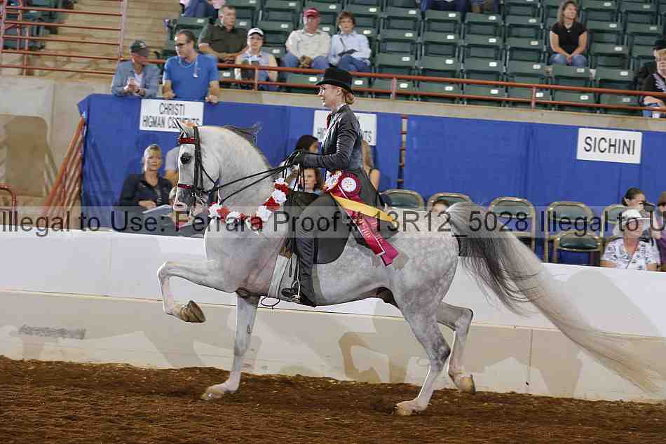 Proof 13r12_5028