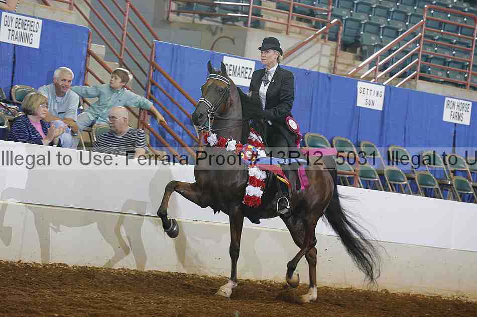 Proof 13r12_5031