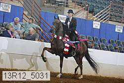 13r12_5031 proof